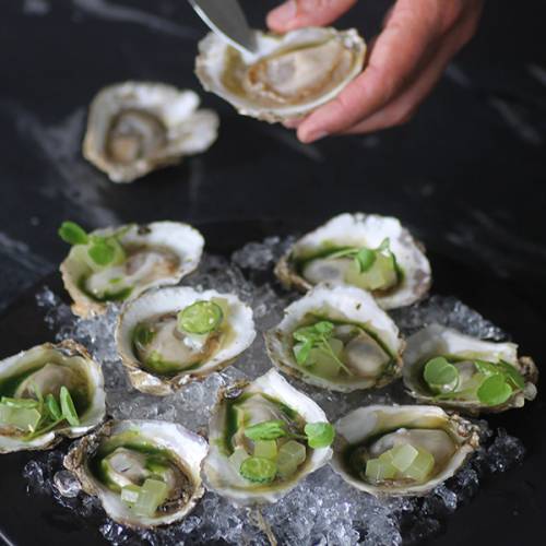 The First Haul All You Can Eat Bluff Oysters Auckland Heart of the City